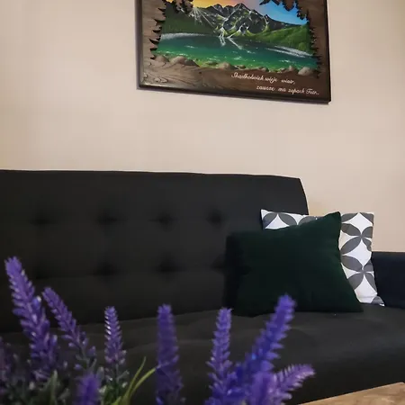 B&r Goscinne Зомб