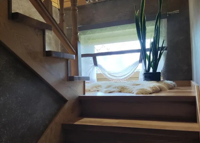 B&r Goscinne זאוב