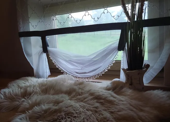 B&r Goscinne זאוב