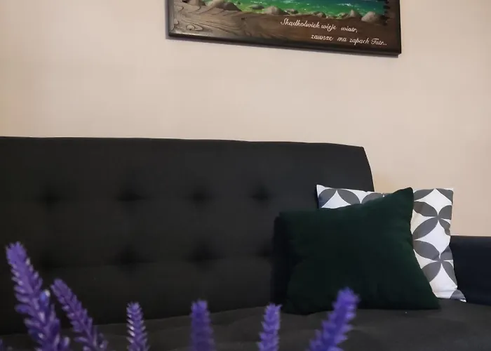 B&r Goscinne זאוב